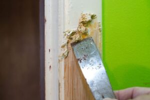 Removedor de pintura casero: cómo hacer un removedor de pintura casero
