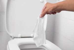 ¿Puedes tirar las toallitas húmedas para bebés por el inodoro? (Problemas potenciales)